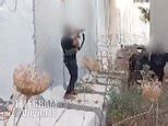 How Hamas brought terror to Israel: Videos show how attackers bombe...