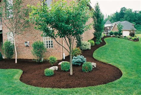 Landscaping Plants