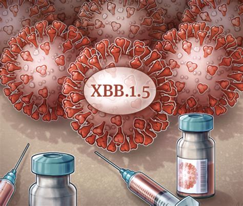 This Fall’s COVID-19 Vaccines Will Target Omicron XBB Subvariants, but Who Needs Them Remains to ...