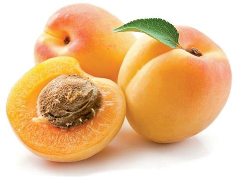 Apricot | Description, Tree, Plant, Fruit, & Facts | Britannica