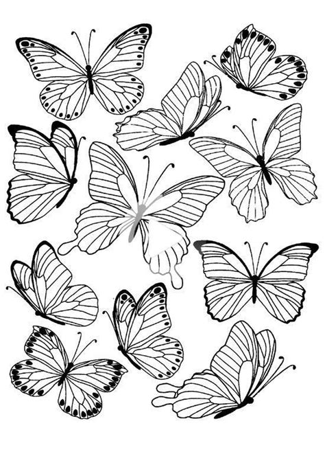 Butterflies 1 | Butterfly tattoo stencil, Butterfly drawing outline ...