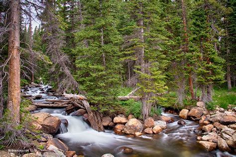 Colorado Rocky Mountain Forest Stream | Colorado Rocky Mount… | Flickr