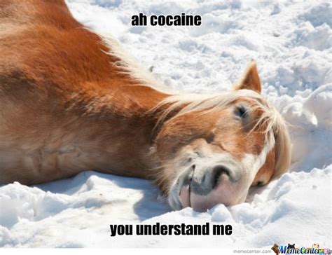 [Image - 670906] | Cocaine Bear | Know Your Meme