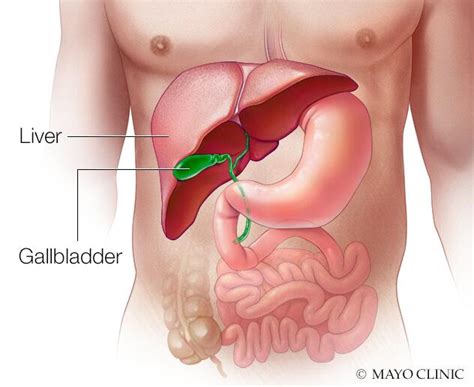 Mayo Clinic Gallbladder Pain Location