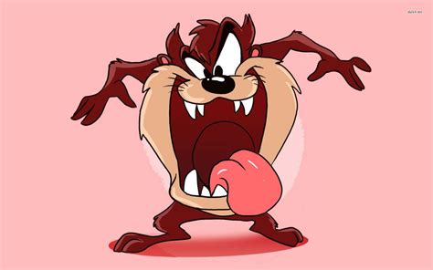 Tasmanian Devil Looney Tunes Wallpaper