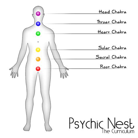 The Chakra System | Chakra meanings, Chakra system, Chakra