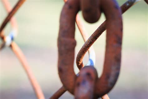 Free stock photo of chain, chain link fence, rust