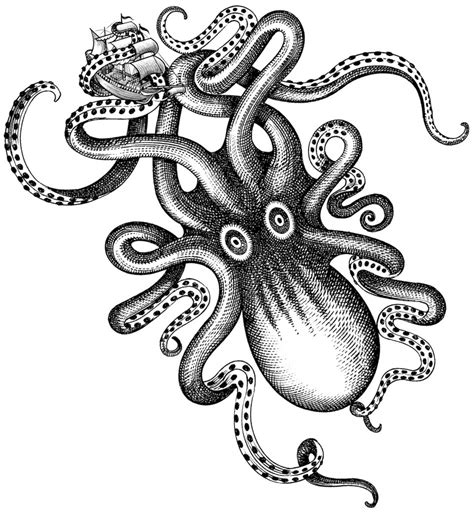 old school tattoos craken - Google Search | Kraken tattoo, Kraken art, Vintage octopus