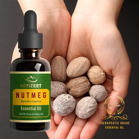 Nutmeg Essential Oil | ACTIZEET | 15 ML