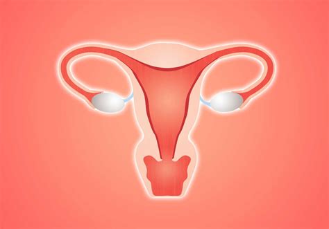 Endometriosis & Fertility: Understanding the Connection | Everlywell