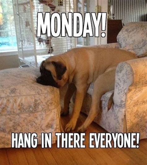 It's Monday again! — Funny Pictures