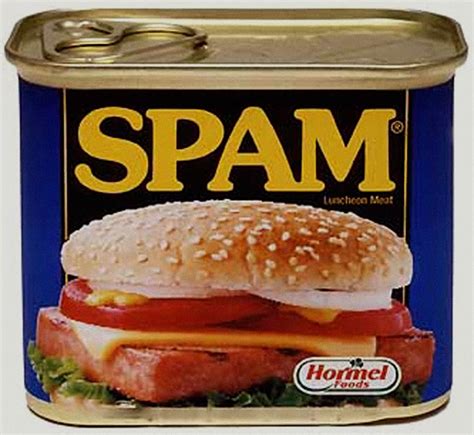 J. LLOYD MORGAN'S BLOG: April 25th is Spam Day