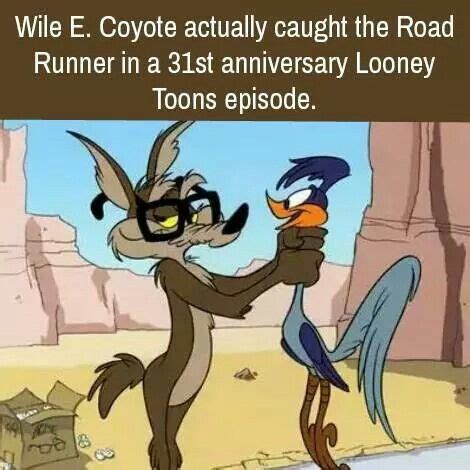 Wiley E. Coyote | Memes, Cartoon memes, Funny cartoons