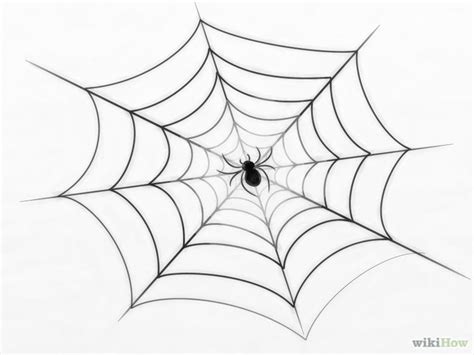 How to Draw a Spider Web | Spiderman drawing, Spider web drawing, Spider drawing