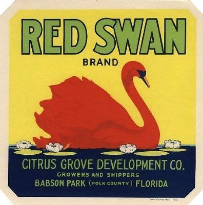 Babson park Florida Red Swan Orange Citrus Fruit Crate Label Print | Fruit crate label, Crate ...