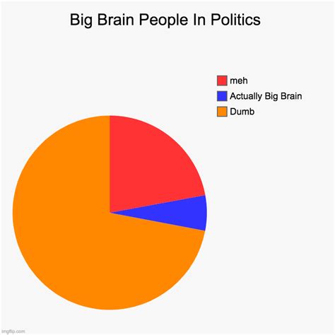 Big Brain People In Politics - Imgflip