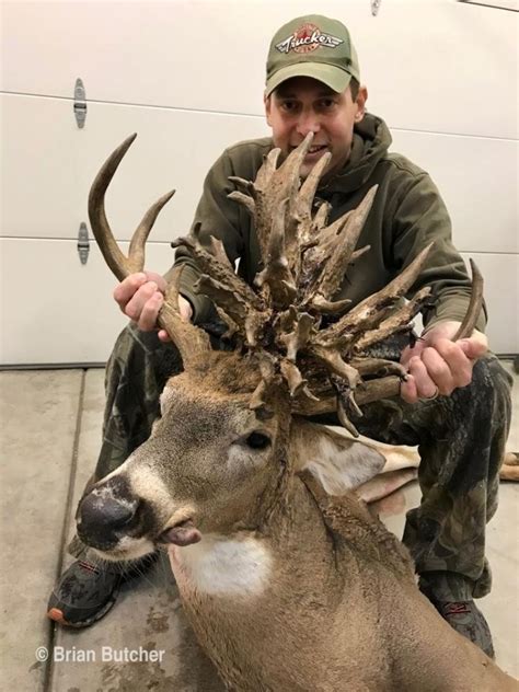 Kansas bowhunter harvests a record-setting non-typical whitetail deer | FOX 4 Kansas City WDAF ...