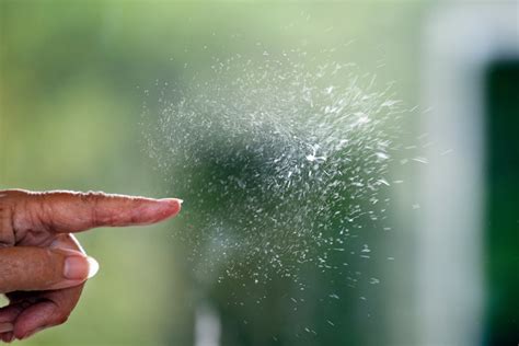 How to Capture a Photo of a Bubble Bursting