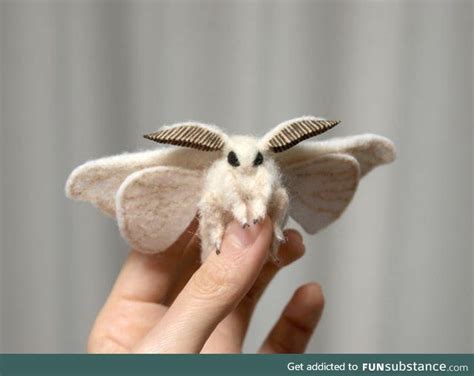 Poodle Moth Pet