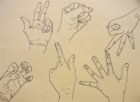 Contour Hand Drawing at PaintingValley.com | Explore collection of ...