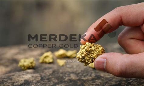 PT Merdeka Copper Gold Tbk - KARGOKU.ID