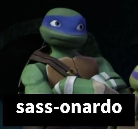 the turtles are just so sassy and i just or his name is Lame-onardo ...