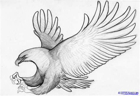 Pencil Sketch Pictures Of Birds at PaintingValley.com | Explore collection of Pencil Sketch ...