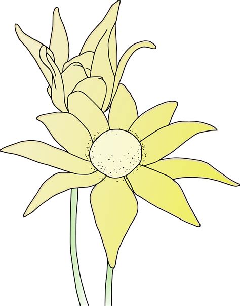 Download Sunflower, Flower, Garden. Royalty-Free Vector Graphic - Pixabay