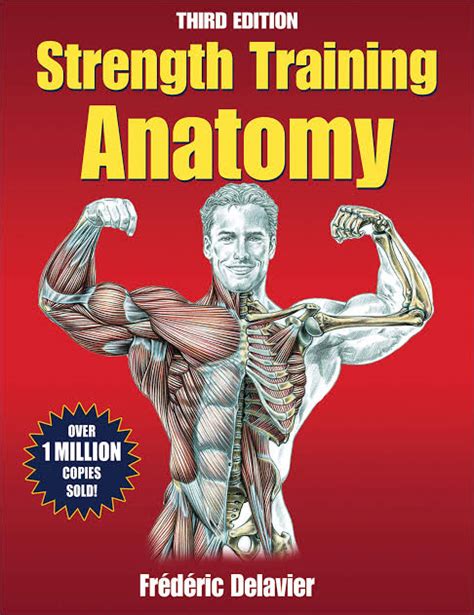 Strength Training Anatomy PDF All editions