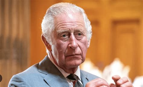 King Charles Allegedly Battling Pancreatic Cancer ... His Prognosis Is Grim