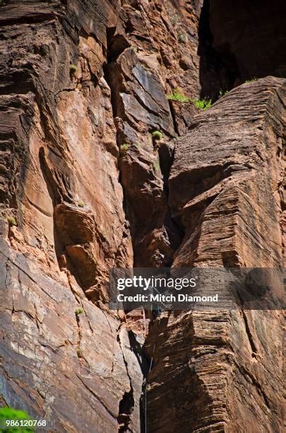 123 Zion National Park Rock Climbing Stock Photos, High-Res Pictures ...