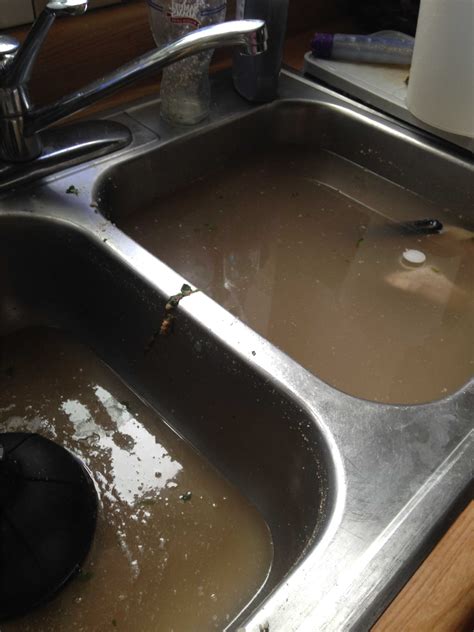 Double Kitchen Sink Is Clogged | Wow Blog