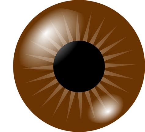 Eyeball Eye Iris - Free vector graphic on Pixabay