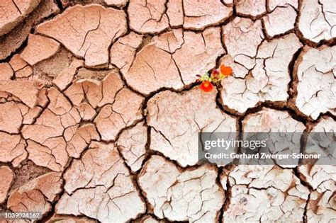 Climate Zones By Altitude Photos and Premium High Res Pictures - Getty ...