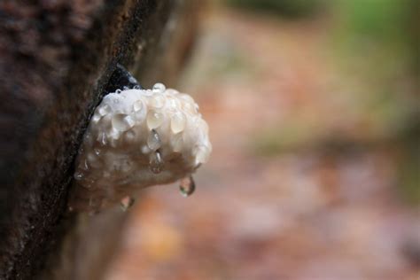 nature walk: kearney lake trails, nova scotia - Imagine Childhood : Magic & Memories That Last a ...