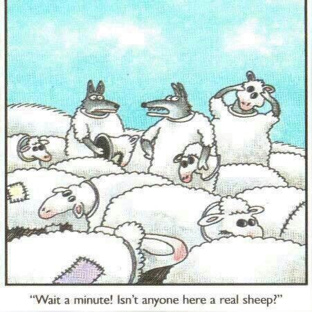 wolf in sheep clothing Cartoon Jokes, Funny Cartoons, Cartoons Comics, Funny Comics, Funny Memes ...