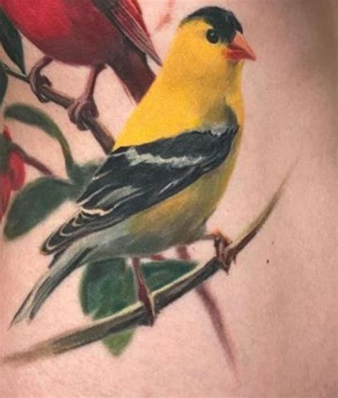 30+ Amazing Goldfinch Tattoo with Meanings - Body Art Guru