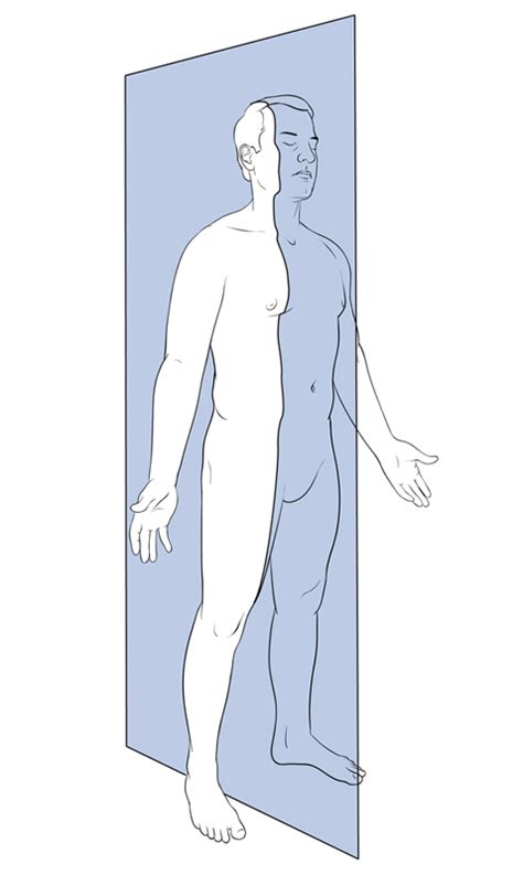 Midclavicular Sagittal Plane – Art as Applied to Medicine