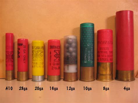 Buy 12 Gauge Shotgun Shells Online