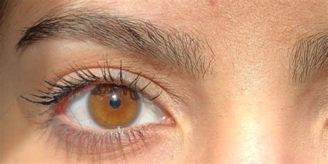 Amber Eyes: Science, Myths and Personality Traits of Amber Eyed People | Dark hazel eyes, Amber ...