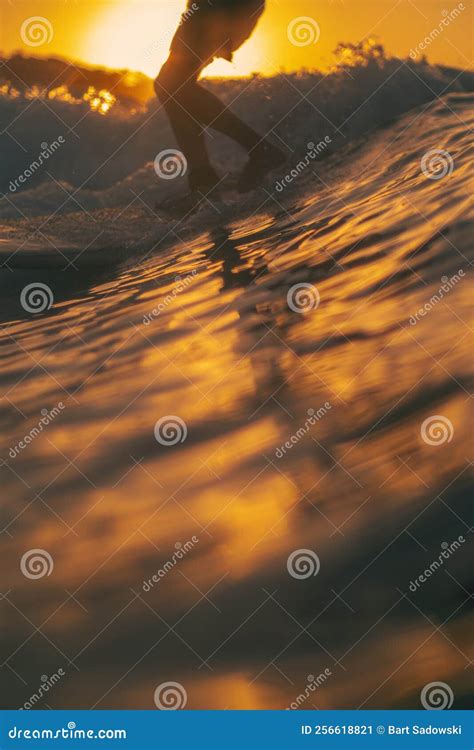 Surfing at Sunset Background with Copy Space Stock Image - Image of ...