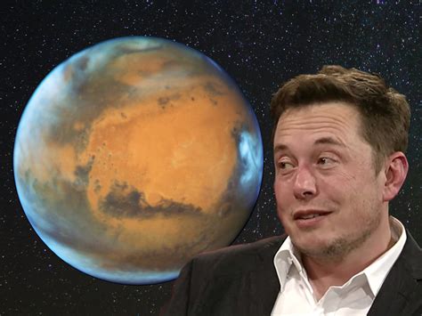 Elon Musk 2024 Mars - Cherri Cristina