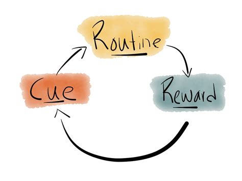 The Habit Loop | Habitica Wiki | Fandom