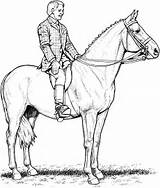 Free Horse Coloring Pages sketch template