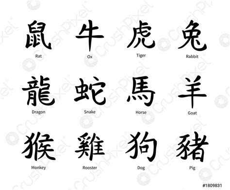 Chinese zodiac symbols, black hieroglyphs isolated on white - stock ...