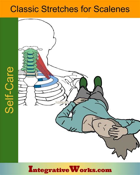 Stretching for scalene muscles - Integrative Works