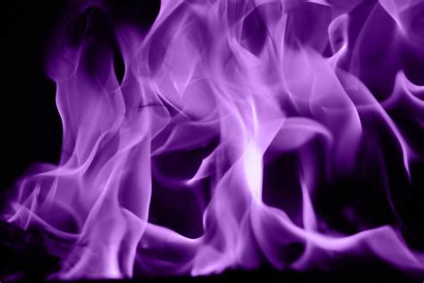 violet flame fire texture purple blaze fiery power element stock wallpaper - Texture X