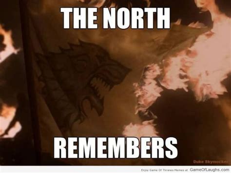 The North remembers | The north remembers, Game of thrones funny, Game ...