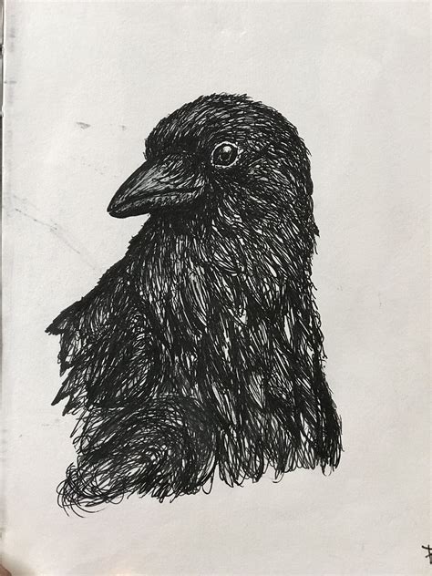 Crow with pen | Crow, Art, Animals