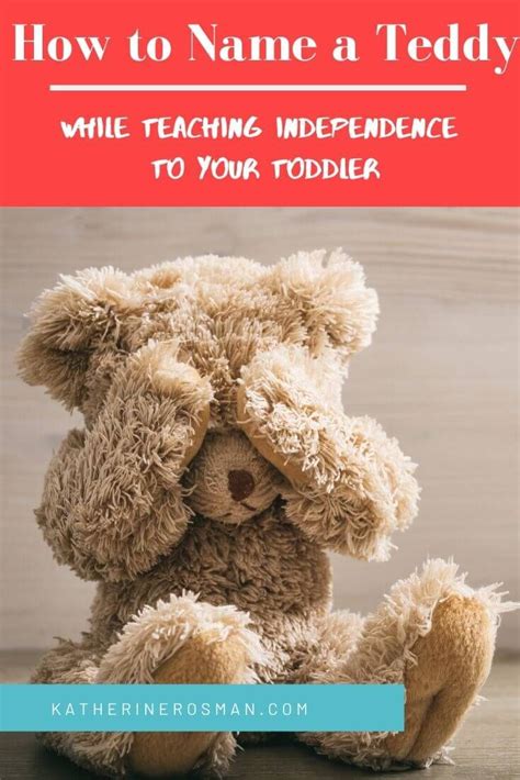 89 Teddy Bear Names: Cute, Famous, Traditional and Unique Teddies ...